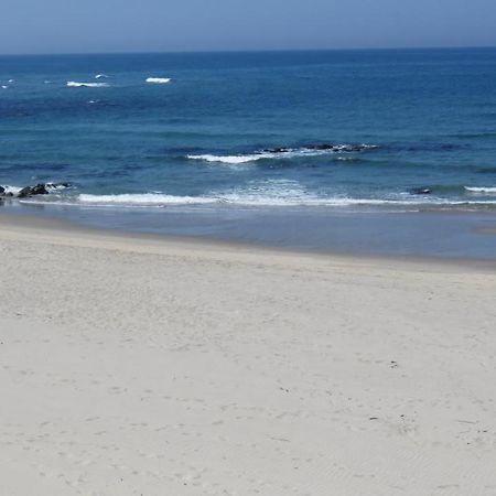 ויאנה דו קסטלו Afife & Insua Beach Apartment מראה חיצוני תמונה